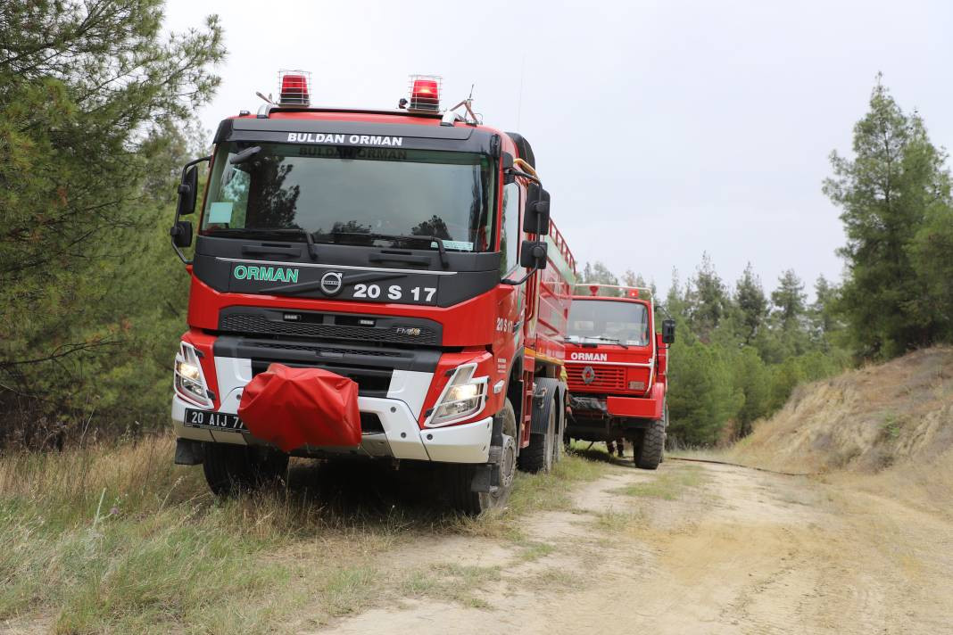 Pamukkale orman yangını! Hem havadan hem de karadan müdahale ediliyor - Resim: 6